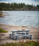 Rectangular Picnic Table